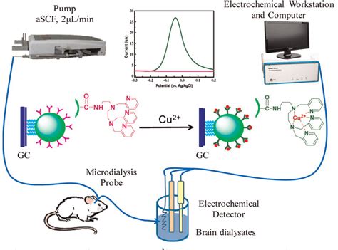 Figure From Electrochemical Sensing Of Heavy Metal Ions With