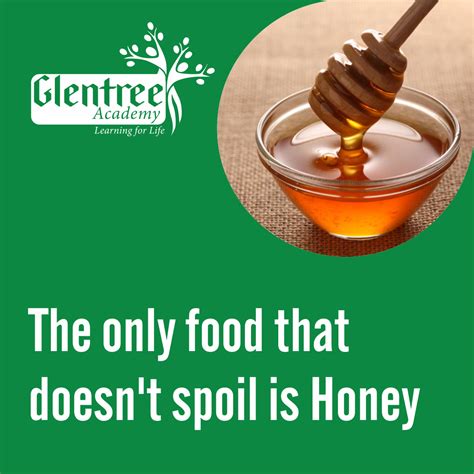 Honey Is Magic Besides Its Delicious Taste Its Pretty Much The Only