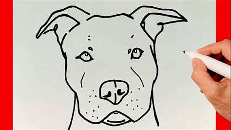 Imagenes De Perros Para Dibujar A Lapiz Pitbull - Find Gallery