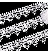 Amazon SEWDIYTR Flower Embroidery Lace Ribbon Applique Lace Edge