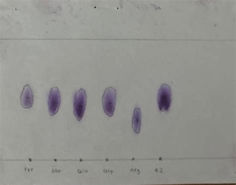 Solved Lab Report: Paper Chromatography of Amino Acids Part | Chegg.com