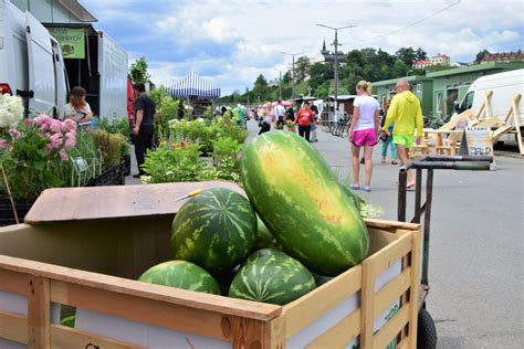 Ceny owoców i warzyw na giełdzie w Sandomierzu w sobotę 16 lipca Sezon