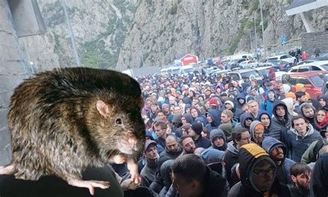 Новый блог Олега Лурье. — LiveJournal