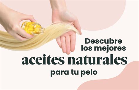 Descubre El Mejor Tipo De Aceites Naturales Para Tu Pelo