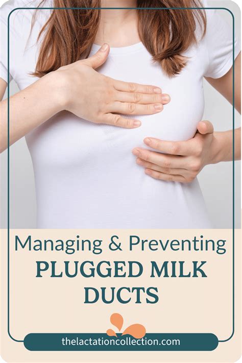 What Are Plugged Milk Ducts And How Do You Prevent Them While Breastfeeding The Lactation