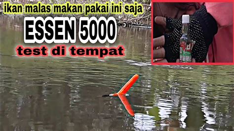 Banjir Gak Banjir Pakai Essen Ini Saja Di Jamin Ikan Ngumpul Test