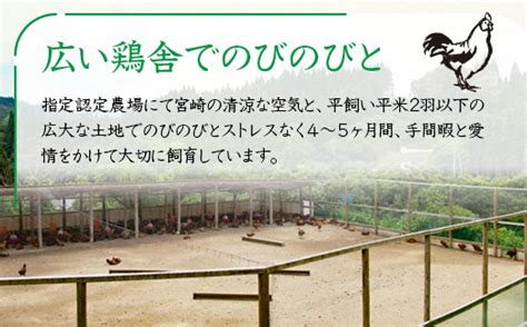 ブランド「じとっこ」地鶏炭火焼 みやざき地頭鶏炭火焼 小分け 5パックセット＜15 218＞ 宮崎県西都市 セゾンのふるさと納税