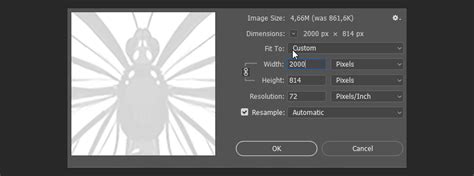 C Mo Usar La Herramienta Pluma De Curvatura De Adobe Photoshop Envato