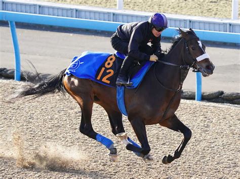 【共同通信杯1週前追い】ダノンザタイガー順調 川田「もっと良くなる馬」 スポニチ競馬web