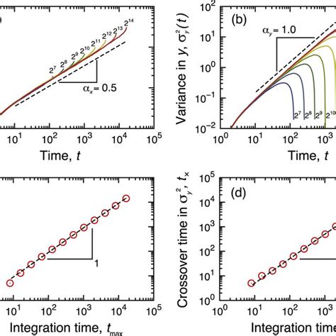 Simulation Of The Comb Model Via A Langevin Equation Examples Of