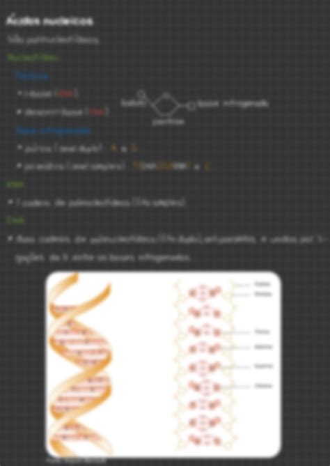 Solution Biomol Culas Cidos Nucleicos E Lip Dios Qu Mica C