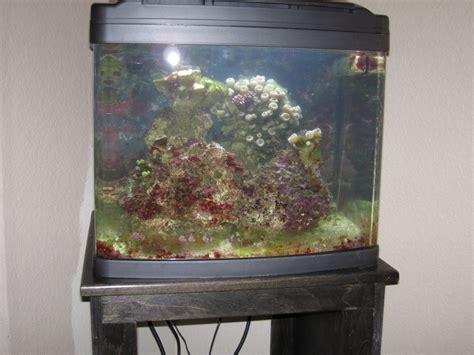 Selling Oceanic Gal Oceanic Gal Biocube And Accessories