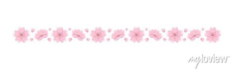 Cherry Blossom Divider Illustration Spring Floral Border Design Wall