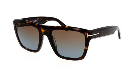 Sunglasses Tom Ford Alberto Ft S F Tortoise In Stock