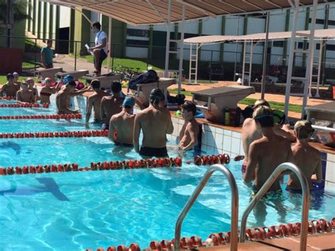 C Mara Autoriza Cobertura E Aquecimento Das Piscinas Da Vila Ol Mpica E