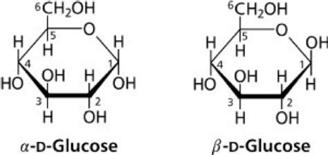 Glucose - Kompaktlexikon der Biologie