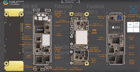 Iphone 11 Location Diagram Iphone Repair Apple Iphone Repair Computer Maintenance