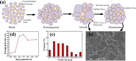 Stages Of Sintering