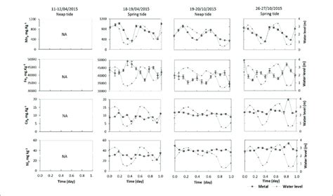 Distributions Of The Particulate Metal Concentrations M P During