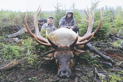 The New World Record Non-Typical Archery Elk