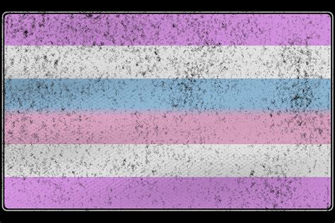 Distressed Bigender Pride Flag Digital Art by Patrick Hiller - Fine Art ...