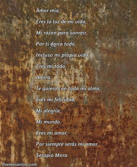 5 Mejores Poemas Para Amira Poemas Online