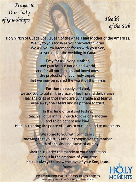 All The Amazing Things About Our Lady Of Guadalupe The Essential Guide