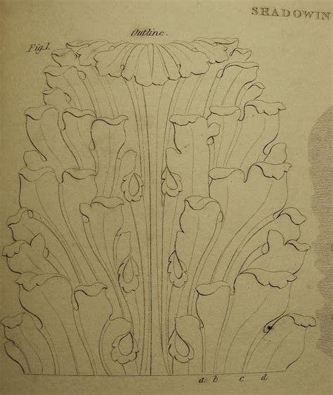 Surface Fragments How To Draw The Acanthus Drawing Shadows Part Iv