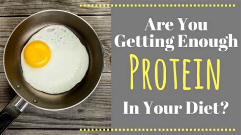 Are You Getting Enough Protein In Your Diet Purely Unrefined