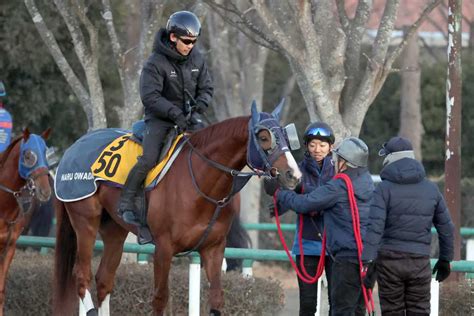 東海s2024特集｜競馬予想のウマニティ