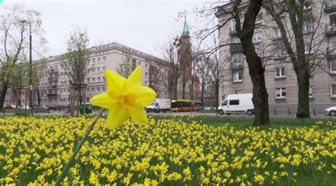 Rocznica Wybuchu Powstania W Getcie Warszawskim W Samo Po Udnie