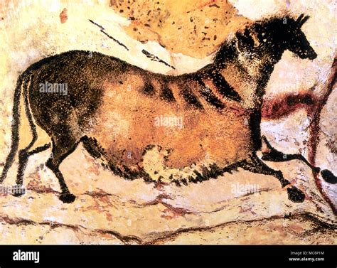 Cave Paintings Horses