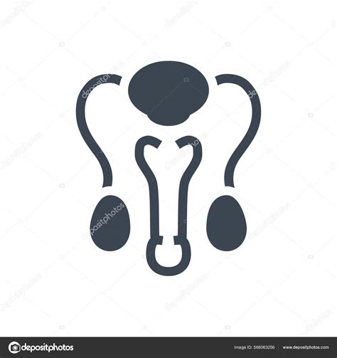 Male Reproductive System Related Vector Glyph Icon Male Reproductive System Stock Vektorgrafik