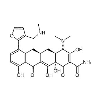 Abcam Anti Methionine Aminopeptidase Ab