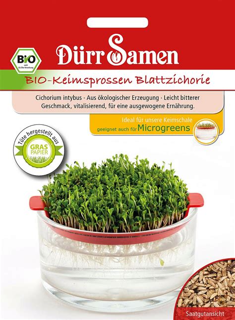 Dürr Samen Graines Germées BIO Chicorée Sauvage 1 sachet Bloomling