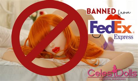Ebay Shadowbans Sex Dolls In The US Marketplace CelesDolls
