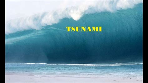 Interesting Facts About Tsunami Youtube