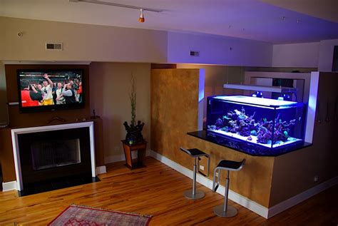 Modern Aquarium design for reef aquaria and freshwater | Reef Builders ...