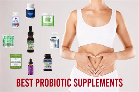 Top Gut Health Supplement Best Probiotic Supplements In The