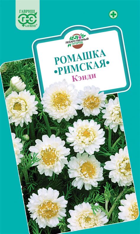 Семена Ромашка римская Кэнди, 0,05г, Лекарственная купить по цене - 27 ...