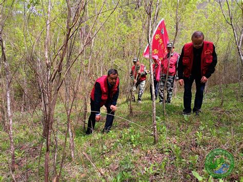 省小陇山林业保护中心榆树林场积极贯彻禁毒会议精神 深入开展搜山踏查行动isenlincn