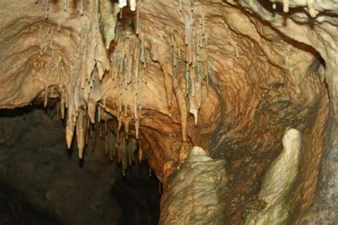 Grottes De Goyet Gesves 2020 Ce Quil Faut Savoir Pour Votre Visite