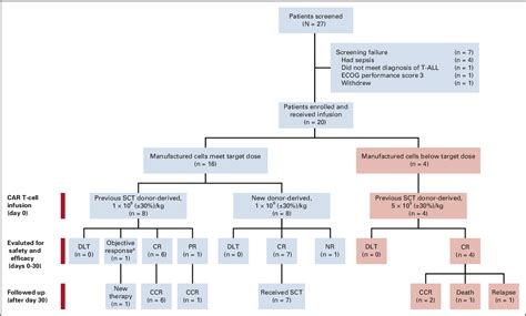 Figure From Donor Derived Cd Chimeric Antigen Receptor T Cells For T