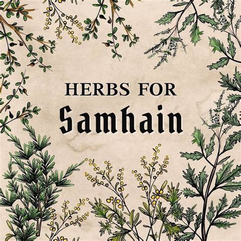 Herbs For Samhain Ritual Wheel Of The Year 2020 Samhain Samhain