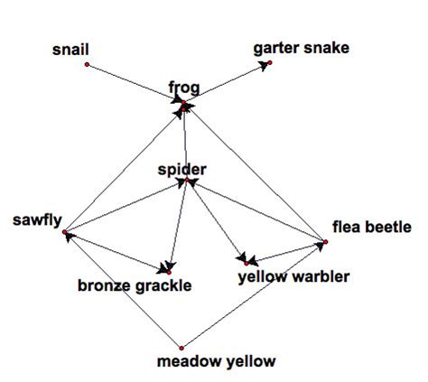 Vertex Edge Graph Connection To Matrices