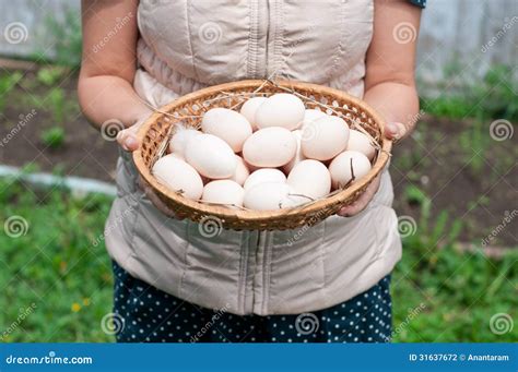 The Girl Is Holding A Basket With Chicken Eggs Stock Photo Image Of