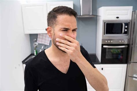 Reasons Why Your Dishwasher Smells Like Rotten Eggs When Running Mr