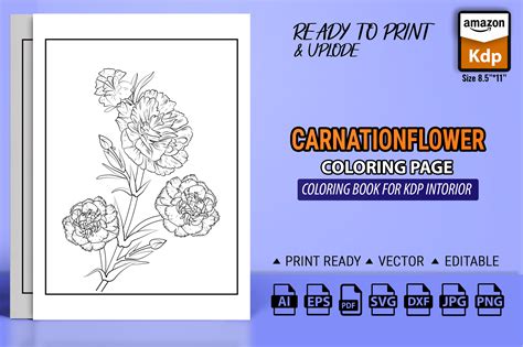 carnation flower drawing 9