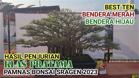 Hasil Penjurian Klas Pratama Pamnas Bonsai Sragen Youtube