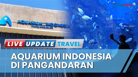 Menilik Koleksi Biota Dan Aquarium Raksasa Di Tempat Wisata Baru